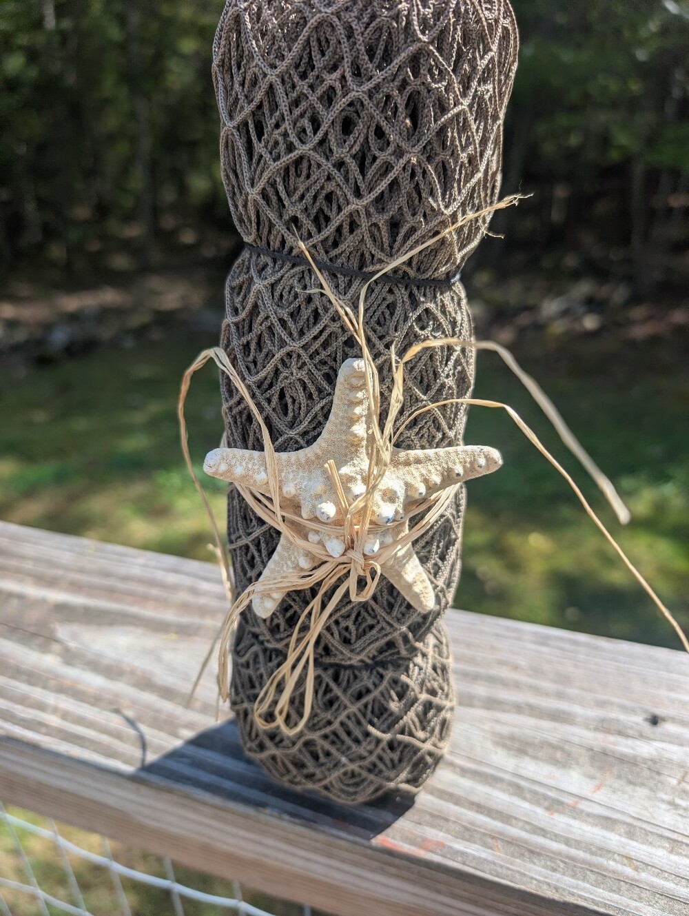 Nautical Net | Starfish - Picture 6 of 8